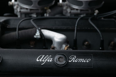 260102 Alfa 1900 110