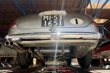IMG 7803