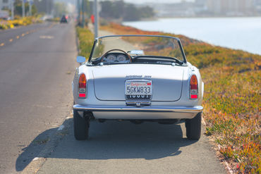 250919 2600 Spider 007