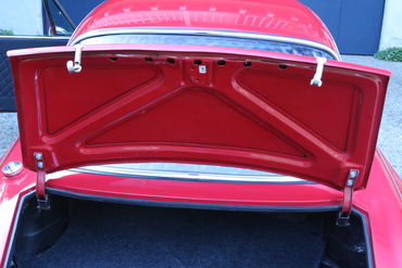 Trunk 1