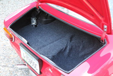 Trunk 3