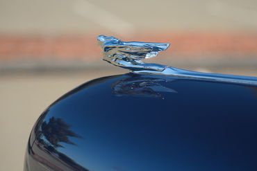 250828 Caddy 015
