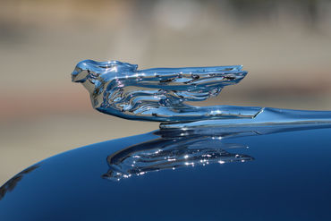 250828 Caddy 020
