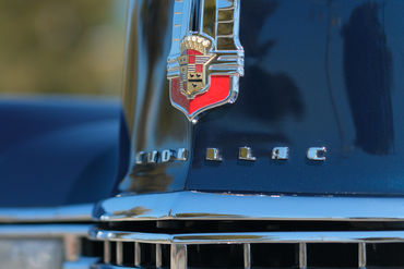 250828 Caddy 022
