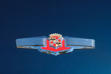 250828 Caddy 034