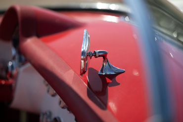 251106 White Vette 024