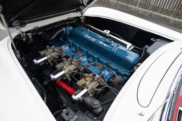 251106 White Vette 086