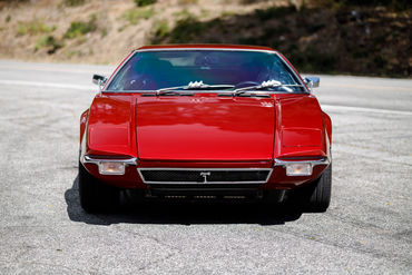 260926 Pantera 007