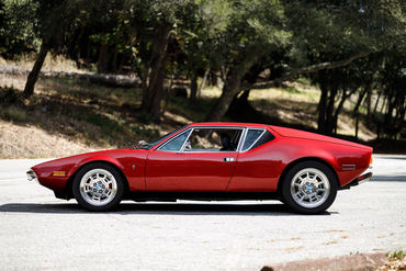 260926 Pantera 016