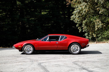 260926 Pantera 017