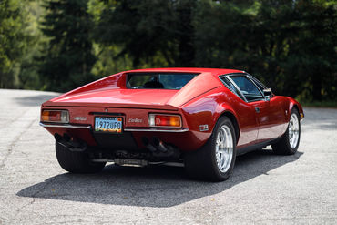 260926 Pantera 023