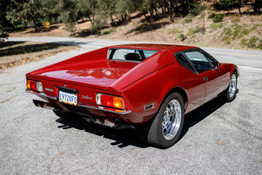 260926 Pantera 027