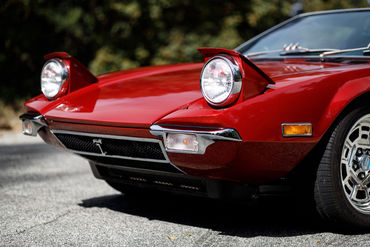260926 Pantera 030