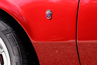 260926 Pantera 037