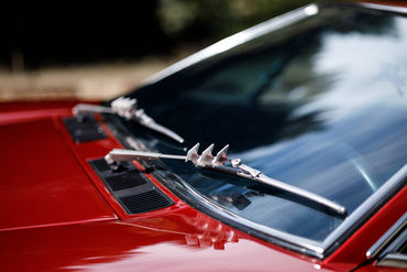 260926 Pantera 038