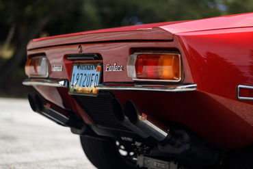 260926 Pantera 044