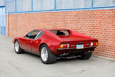 260926 Pantera 065