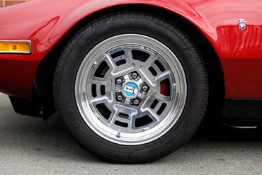 260926 Pantera 069