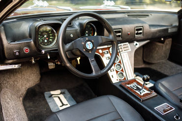 260926 Pantera 071