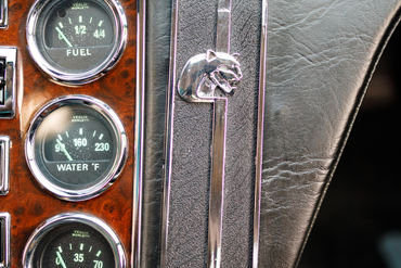 260926 Pantera 087