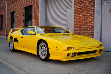 230825 Pantera W 06