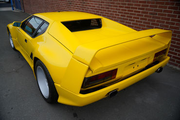 230825 Pantera W 16