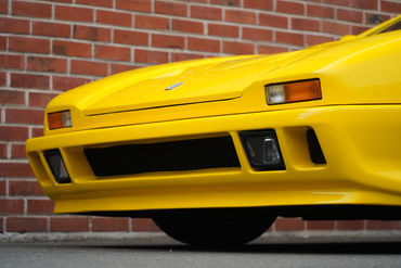 230825 Pantera W 18