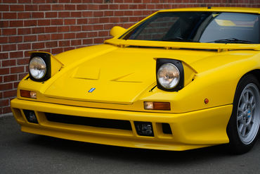 230825 Pantera W 19