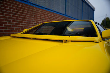 230825 Pantera W 23