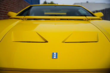 230825 Pantera W 26