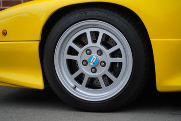 230825 Pantera W 28
