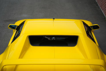230825 Pantera W 34