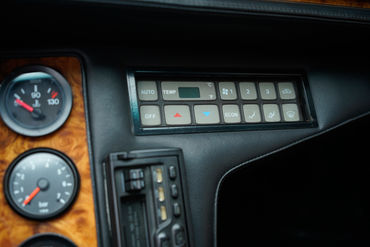 230825 Pantera W 50