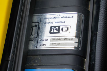 230825 Pantera W 80