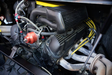 230825 Pantera W 72