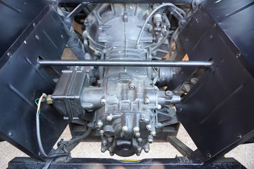 230825 Pantera W 71