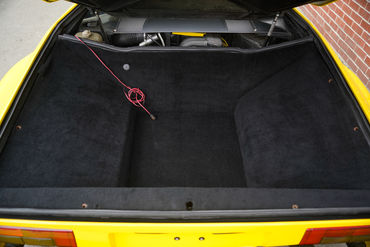 230825 Pantera W 67