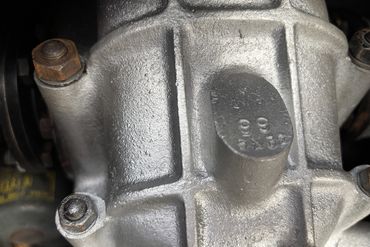 IMG 9976