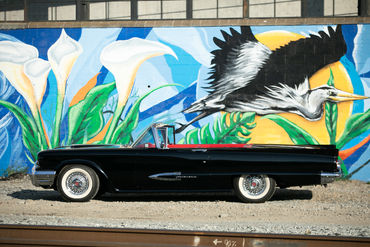 251206 Tbird 009