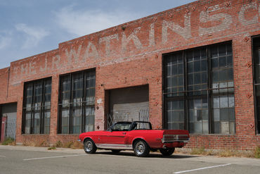 250614 Shelby Convertible 014