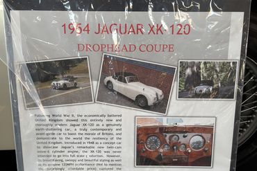 IMG 9371