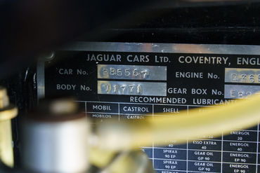221007 W Jaguar 67
