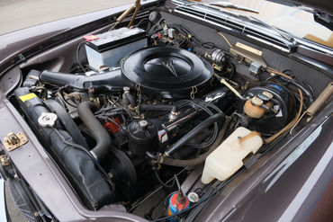 250524 280 SE Convertible BROWN 099