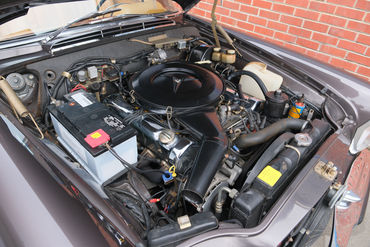 250524 280 SE Convertible BROWN 100