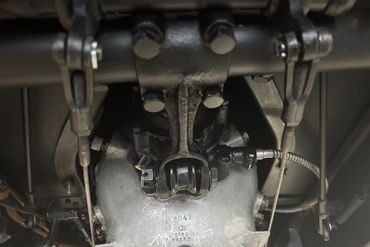 IMG 4550