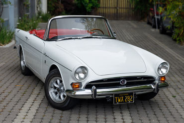 260522 Tiger Top Down 4