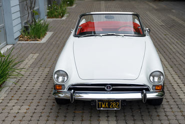 260522 Tiger Top Down 5