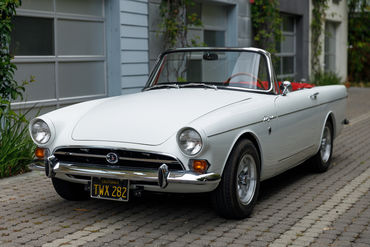 260522 Tiger Top Down 6