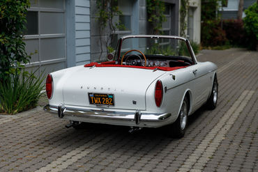 260522 Tiger Top Down 8