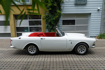 260522 Tiger Top Down 9